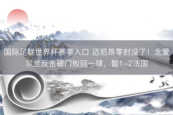 国际足联世界杯赛事入口 迈尼昂零封没了！北爱尔兰反击破门扳回一球，暂1-2法国