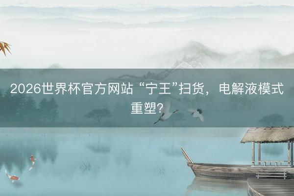 2026世界杯官方网站 “宁王”扫货，电解液模式重塑？